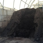 Compost