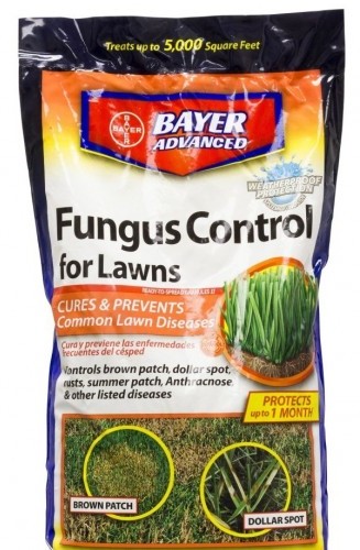 Fungus Control for Lawns